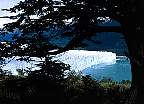 0438-14.jpg