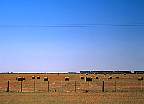 0470-15.jpg