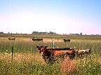 0536-10.jpg