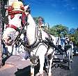 0561-17.jpg