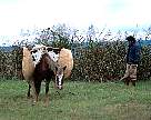 0668-05.jpg