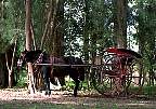 0685-05.jpg