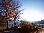 0741-09.jpg