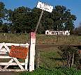 0854-05.jpg