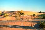 0899-11.jpg