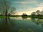 1039-10.jpg