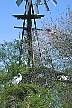 1183-10.jpg