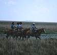 1186-09.jpg
