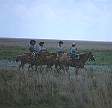 1186-13.jpg