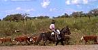 1193-09.jpg