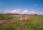 1195-43.jpg