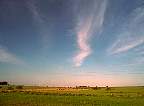 1195-53.jpg