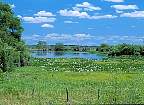 1225-31.jpg