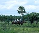 1250-18.jpg