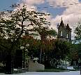1259-53.jpg