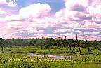 1260-48.jpg