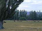 1419-17.jpg