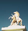 1601-A49A.jpg